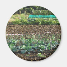 Allotment Magnets