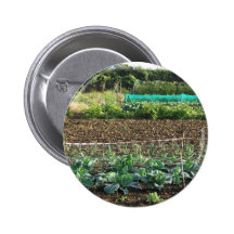Allotment Pins