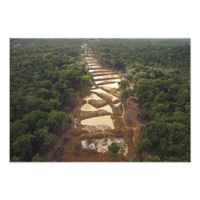 Alluvial Gold Mining. Rainforest, Guyana. by danitadelimont