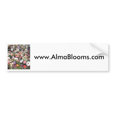 Alma Blooms 1 Bumper Sticker by YonnisWackyWorkshop