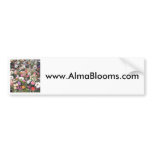 Alma Blooms 1 bumper stickers