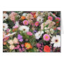 Alma Blooms 1 Greeting Cards
