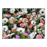 Alma Blooms Greeting Card