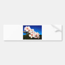 almond blossom bumper sticker
