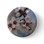 Almond Blossom Pinback Buttons