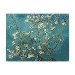 Almond Blossom Postcard