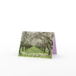 Almond Blossoms Notecard