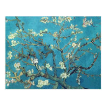 Almond Blossoms Post Card