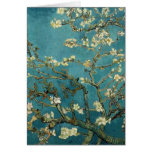 Almond Branches in Bloom cards