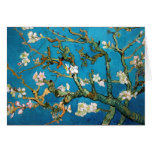 Almond Branches in Bloom Detail, Van Gogh Card