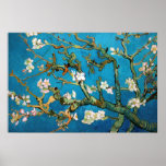 Almond Branches in Bloom Detail, Van Gogh posters