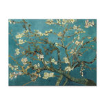 Almond Branches in Bloom Post Card