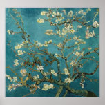 Almond Branches in Bloom Poster