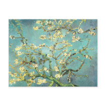 Almond Branches In Bloom, Vincent Van Gogh Post Card