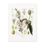 Almond Postcards