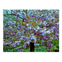 Almond Tree in Monet's Garden Post Card