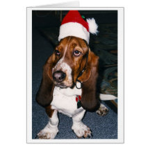 Almost Max Greeting Cards