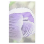 Almost Open!  Crocus Bud Stationery