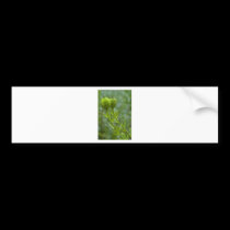 Almost Poppies bumper stickers