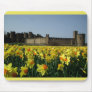 Alnwick Castle from the Gardens Mousepads