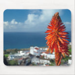 Aloe flower mouse pad