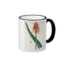 Aloe from 'Phytographie Medicale' by Joseph Roques Mugs
