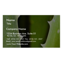Aloe Vera Business Cards