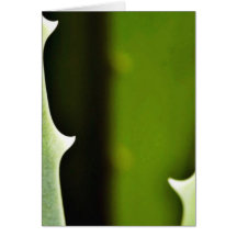 Aloe Vera Greeting Card