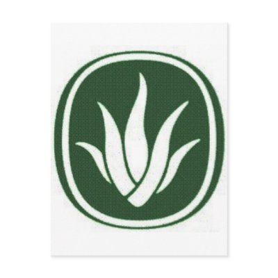 AloeCure®aloe leaf products Postcards by AloeCure