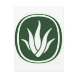 AloeCure®aloe leaf products postcards