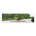 Aloha Gecko stickers bumper stickers