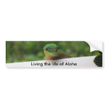 Aloha Gecko stickers bumper stickers