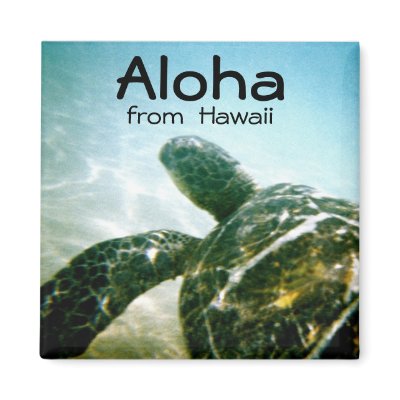 Aloha Hawaii Sea Turtle by Rebecca_Reeder
