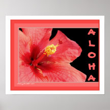 Aloha Hibiscus Blossom Haiku Art Print