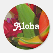 Aloha Magnet