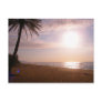 Aloha Postcard