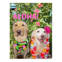 ALOHA! POSTCARDS