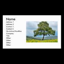 Alone again in Scotland business cards