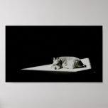 Alone in the Light posters