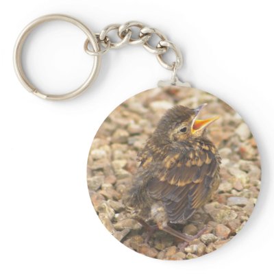 Alone lost hungary and vulnerable keychain by jdmphotography