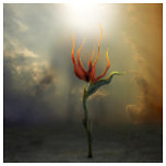 Botanical Canvas Prints