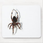 Along Came a Spider Mouse Pad