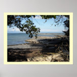 Along the Ocean