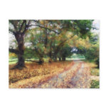 Along the Path Under the Trees Postcards