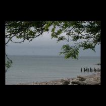 Along The Shore posters