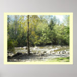 Along the Stream posters