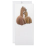 Alpaca Buddies Rack Card
