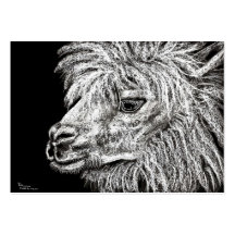 Alpaca Business Card Template