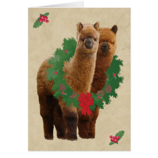 Alpaca Christmas Cards 