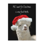 Alpaca Christmas Post Card